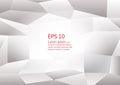 Abstract gray and white color polygon background, Vector illustration modern design eps10 Royalty Free Stock Photo