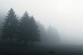 Abstract grayscale image of dense fog obscuring trees , pattern, art
