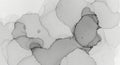Abstract grayscale ink blobs soft blending amorphous organic shapes subtle texture minimalist design Royalty Free Stock Photo