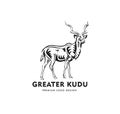 Abstract of greater Kudu standing vector Royalty Free Stock Photo