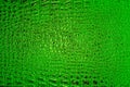Abstract green alligator patterned background