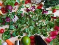 Vegetables and fruits paprika green olive sweet pepper salad onion cucumber carrots salt parsley garlic Royalty Free Stock Photo