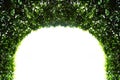 Abstract green arch