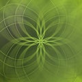 Abstract green background with elegant lines and soft blurred pattern Royalty Free Stock Photo