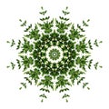 Abstract green background flora mandala pattern, wild climbing v