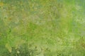 abstract green background lime color, vintage grunge background texture gradient design, website template background Royalty Free Stock Photo