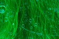 Abstract green background with oil drops and waves on water surface Royalty Free Stock Photo