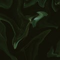 Abstract Green Background perfect for art and packaging
