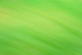 Abstract green background