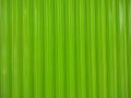 Abstract green background with vertical line pattern