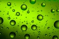 Abstract green background with water drops on the glass. A fogged beer bottle in close-up. Royalty Free Stock Photo