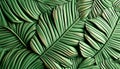 Abstract Green Banana Leaf Pattern Design