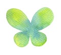 Abstract green, blue watercolor butterfly on white background. Royalty Free Stock Photo