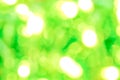 Abstract green blur white bokeh background. Blurry summer spring natural or christmas tree background with defocused bokeh lights Royalty Free Stock Photo