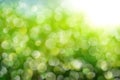 Abstract green blurred background with translucent circles. Great spring or green environment background. Space for your text Royalty Free Stock Photo