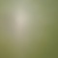 Abstract green blurred gradient background. Nature backdrop. Royalty Free Stock Photo