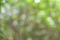 Abstract Green Boke blur background