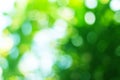 Abstract Green Bokeh Blur Background Royalty Free Stock Photo