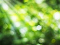 Abstract green bokeh