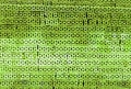 Abstract green brick wall texture background Royalty Free Stock Photo
