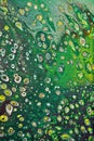 Abstract Green Bubble Forest Fun