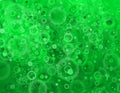 The abstract green buble chaos image