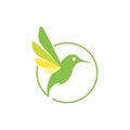 Abstract green colibri bird logo Royalty Free Stock Photo