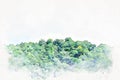 Abstract green color shape on mountain peak watercolor illustration painting.