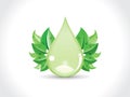 Abstract green drop with leaf Royalty Free Stock Photo