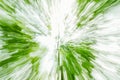 Abstract green eco, ecology background of tree. Zoom speed blured motion. Created by zooming