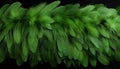 Abstract green feathers texture background detailed digital art of oversized avian plumage