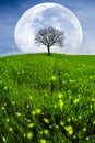 Abstract Green fields with full moon and tree of life , firefly in the summer night