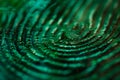 Abstract Green Fingerprint Texture, Ideal for Concepts on Identity and Security Royalty Free Stock Photo