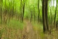 Abstract green forest Royalty Free Stock Photo