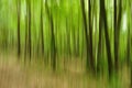 Abstract green forest Royalty Free Stock Photo