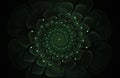 Abstract green fractal flower computer generated image
