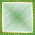 Abstract green frame Royalty Free Stock Photo
