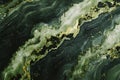 Abstract Green and Gold Marble Texture ai generator Royalty Free Stock Photo
