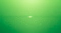 Abstract Green Gradient Background with Subtle Sparkles and Soft Light Effect texture Royalty Free Stock Photo