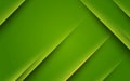 abstract green gradient diagonal shape light and shadow background. Royalty Free Stock Photo