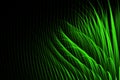 Abstract Green Grass Background