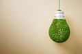 Abstract green grass light bulb on brown background with mock up place. Eco concept and energy concept. Royalty Free Stock Photo