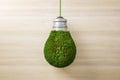 Abstract green grass light bulb on wooden wall background. Eco concept and energy concept. Royalty Free Stock Photo