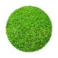 Abstract green grass texture for background. Circle green grass pattern isolated on white background with clipping path Royalty Free Stock Photo