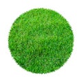 Abstract green grass texture for background. Circle green grass pattern isolated on white background with clipping path Royalty Free Stock Photo