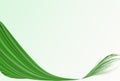 Abstract green grass wave background