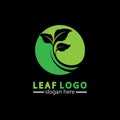 Abstract green leaf logo icon vector design isolated on black background. Landscape design  garden, Plant,spa, nature and ecology Royalty Free Stock Photo