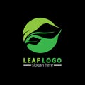 Abstract green leaf logo icon vector design isolated on black background. Landscape design  garden, Plant,spa, nature and ecology Royalty Free Stock Photo