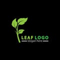 Abstract green leaf logo icon vector design isolated on black background. Landscape design  garden, Plant,spa, nature and ecology Royalty Free Stock Photo