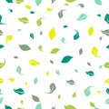 Abstract green leaf seamless pattern exotic plant seamless vector pattern Royalty Free Stock Photo
